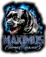 150-logo